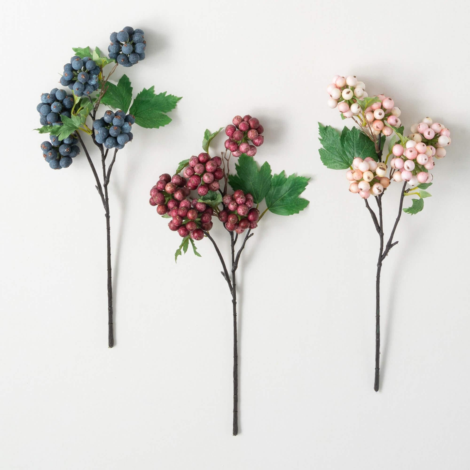Berry Stem